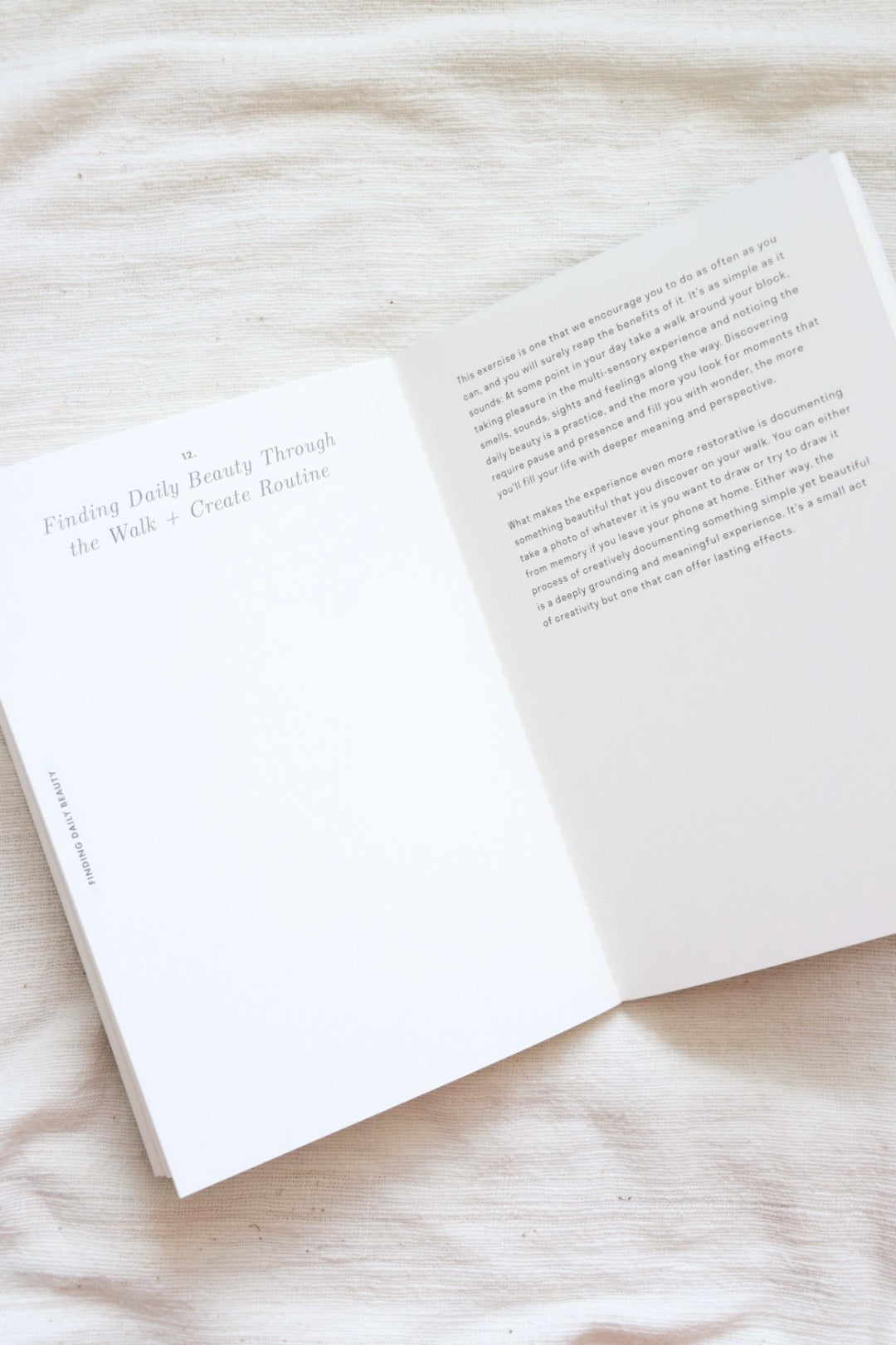 Abbreviated Guided Sketchbook: Drawing & Watercolor