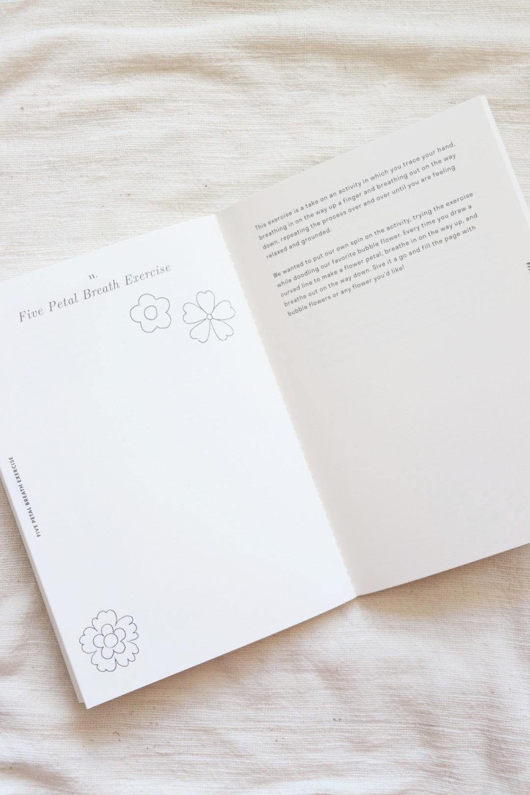 Abbreviated Guided Sketchbook: Drawing & Watercolor