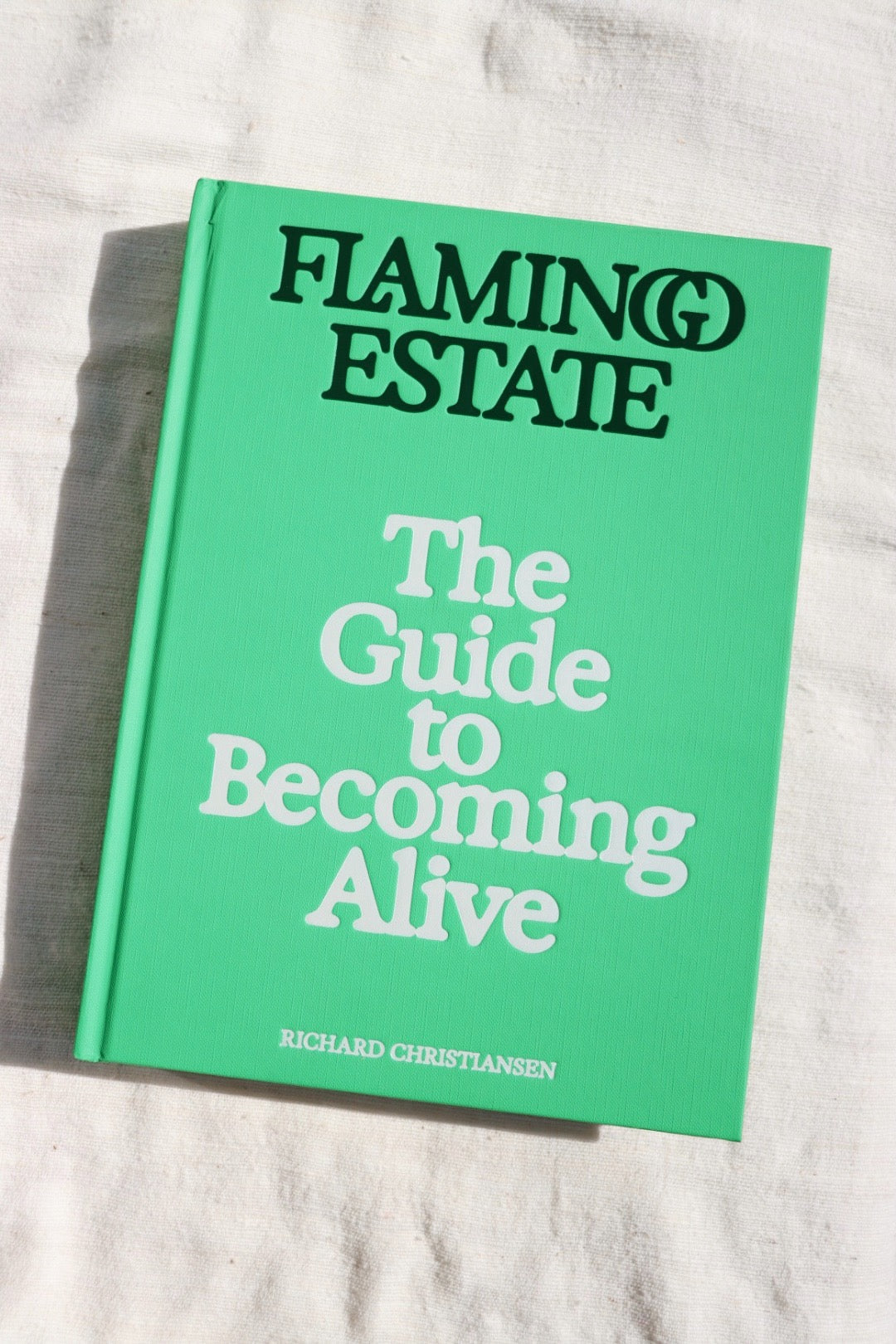 The Guide To Becoming Alive