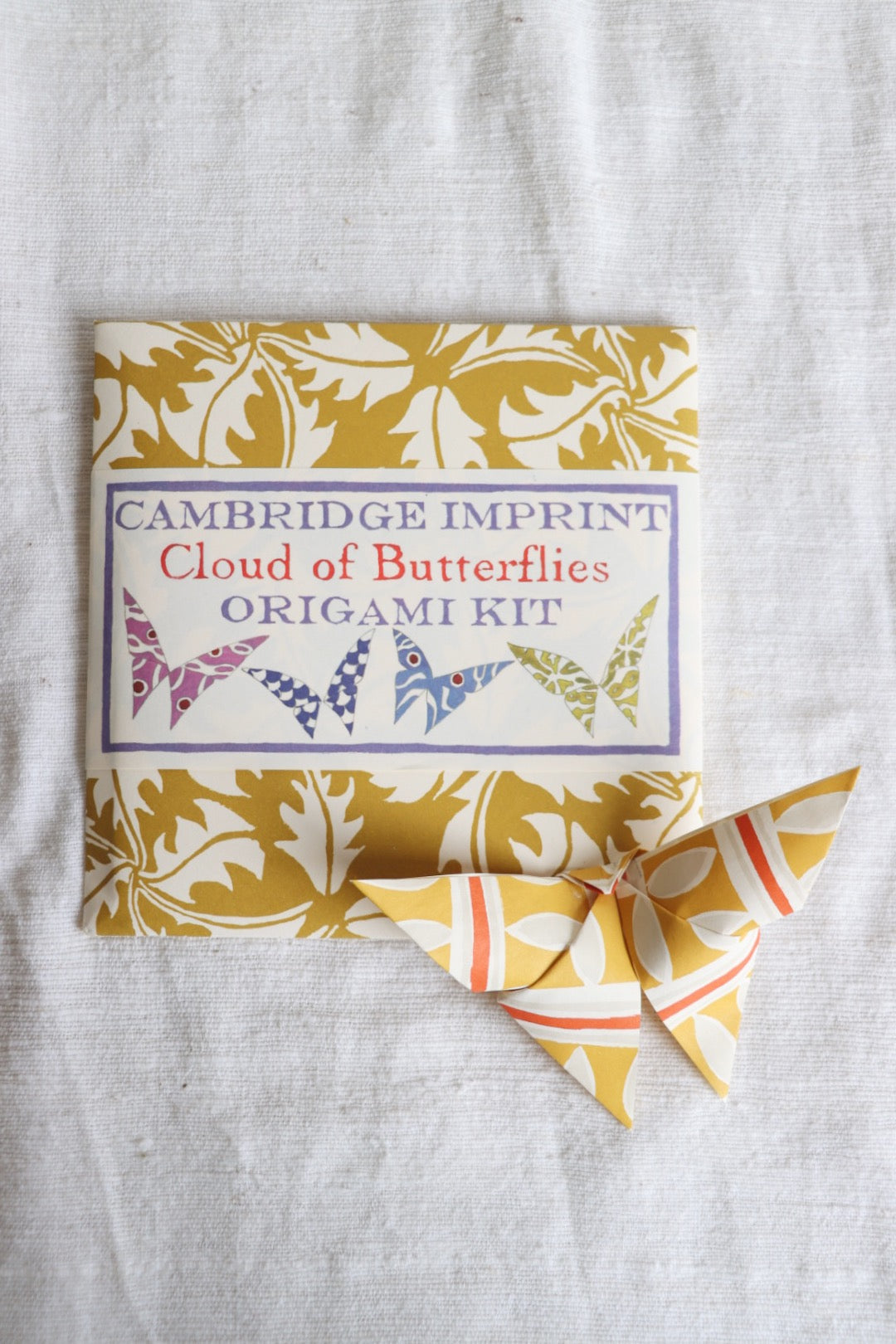 Origami Cloud of Butterflies Kit