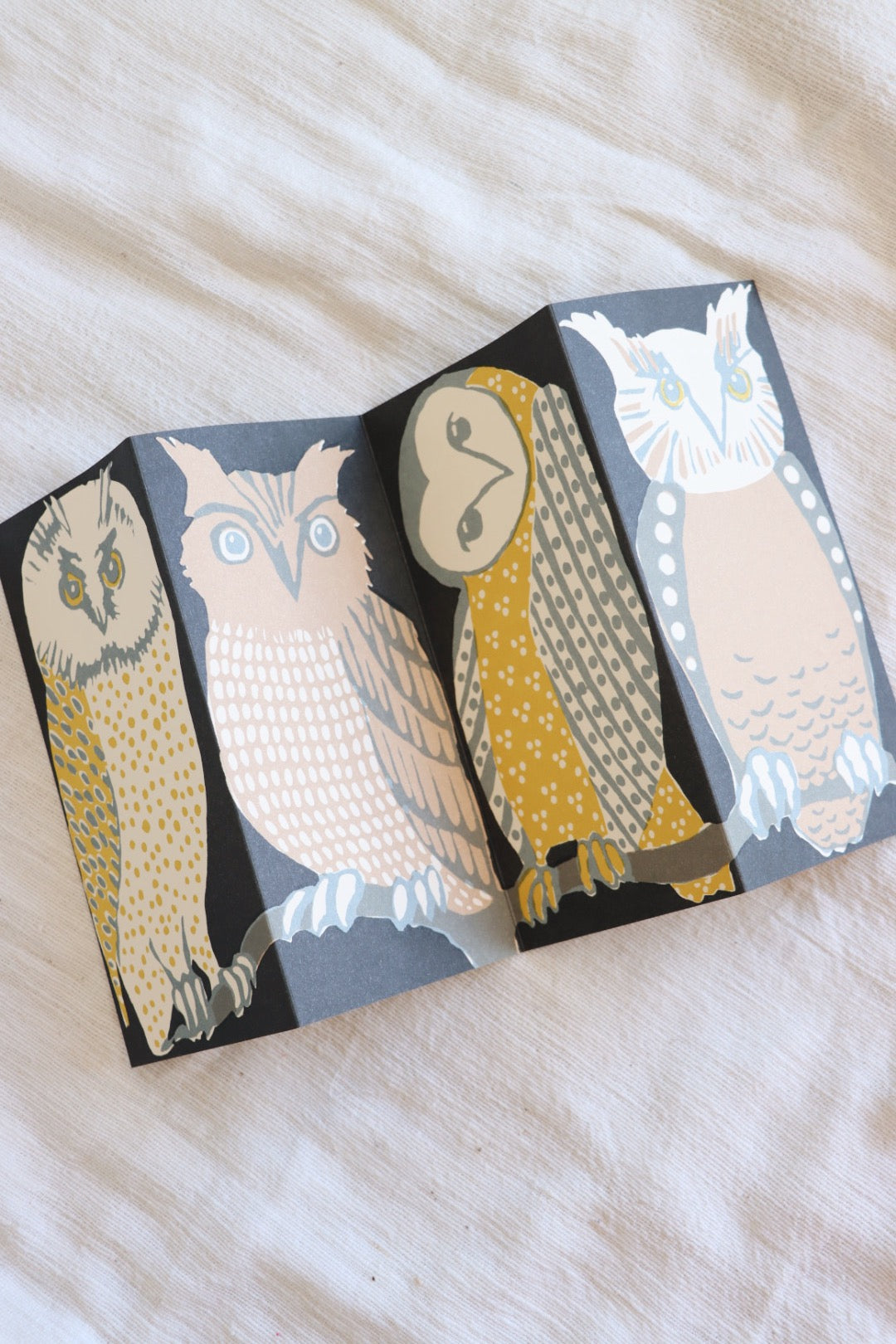 Wise Old Birds Card
