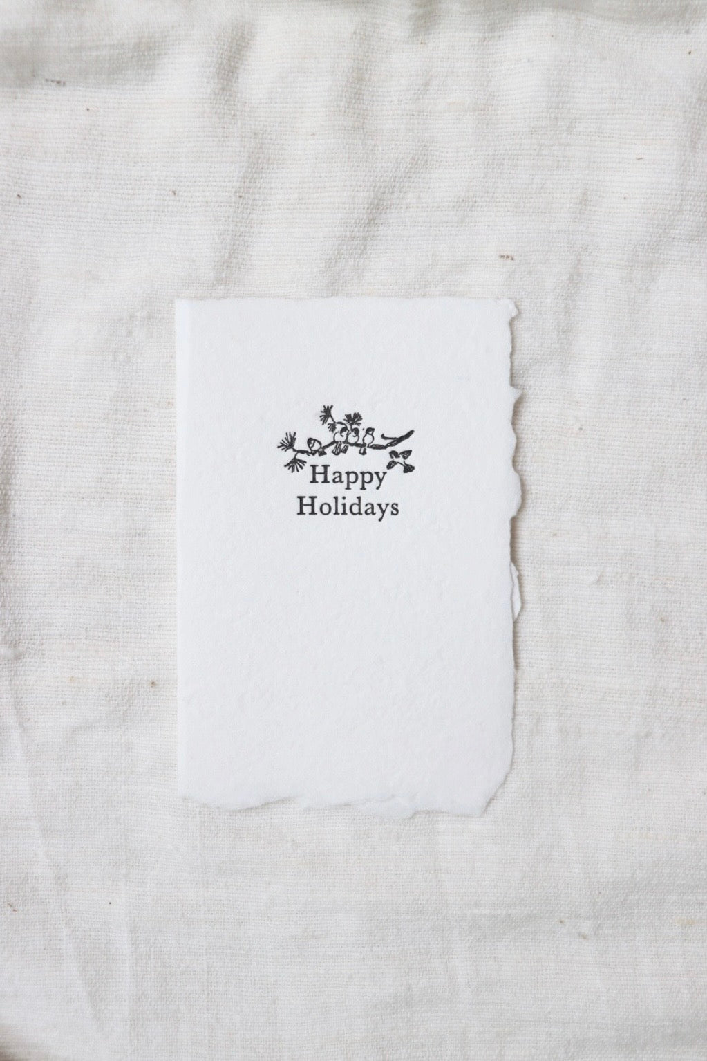 Winter Birds Happy Holidays Card