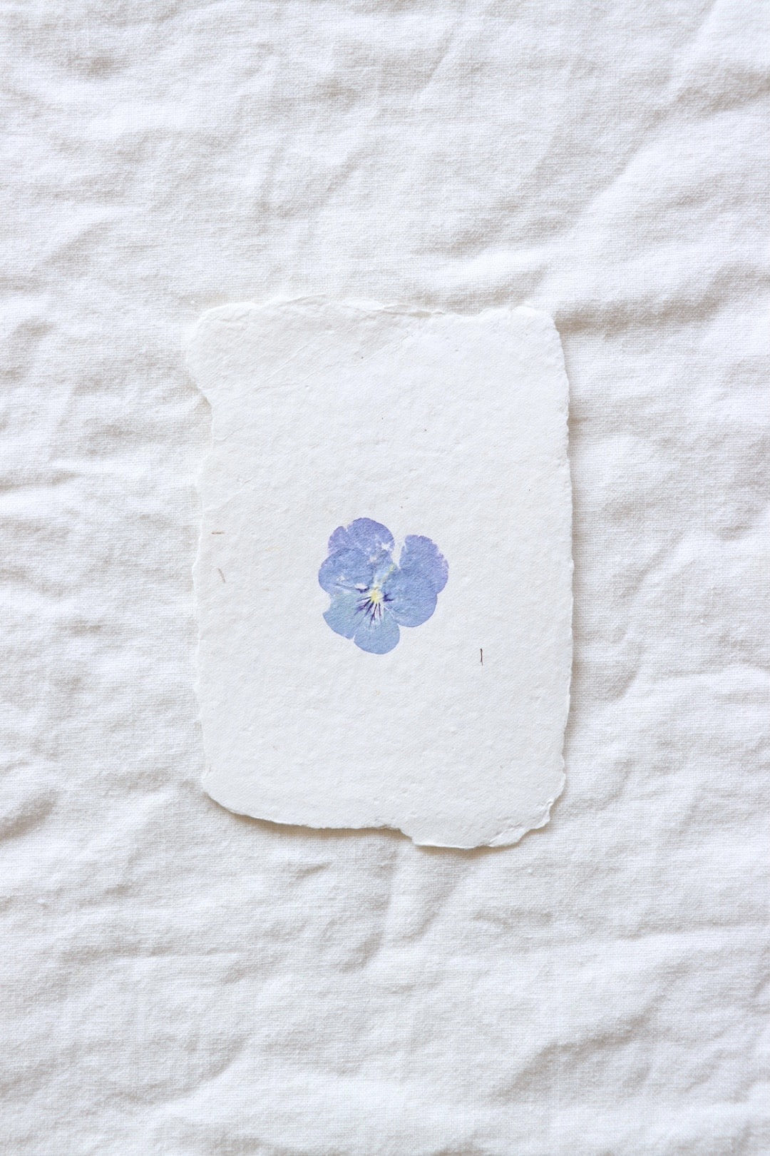 Pansy Imprint Card