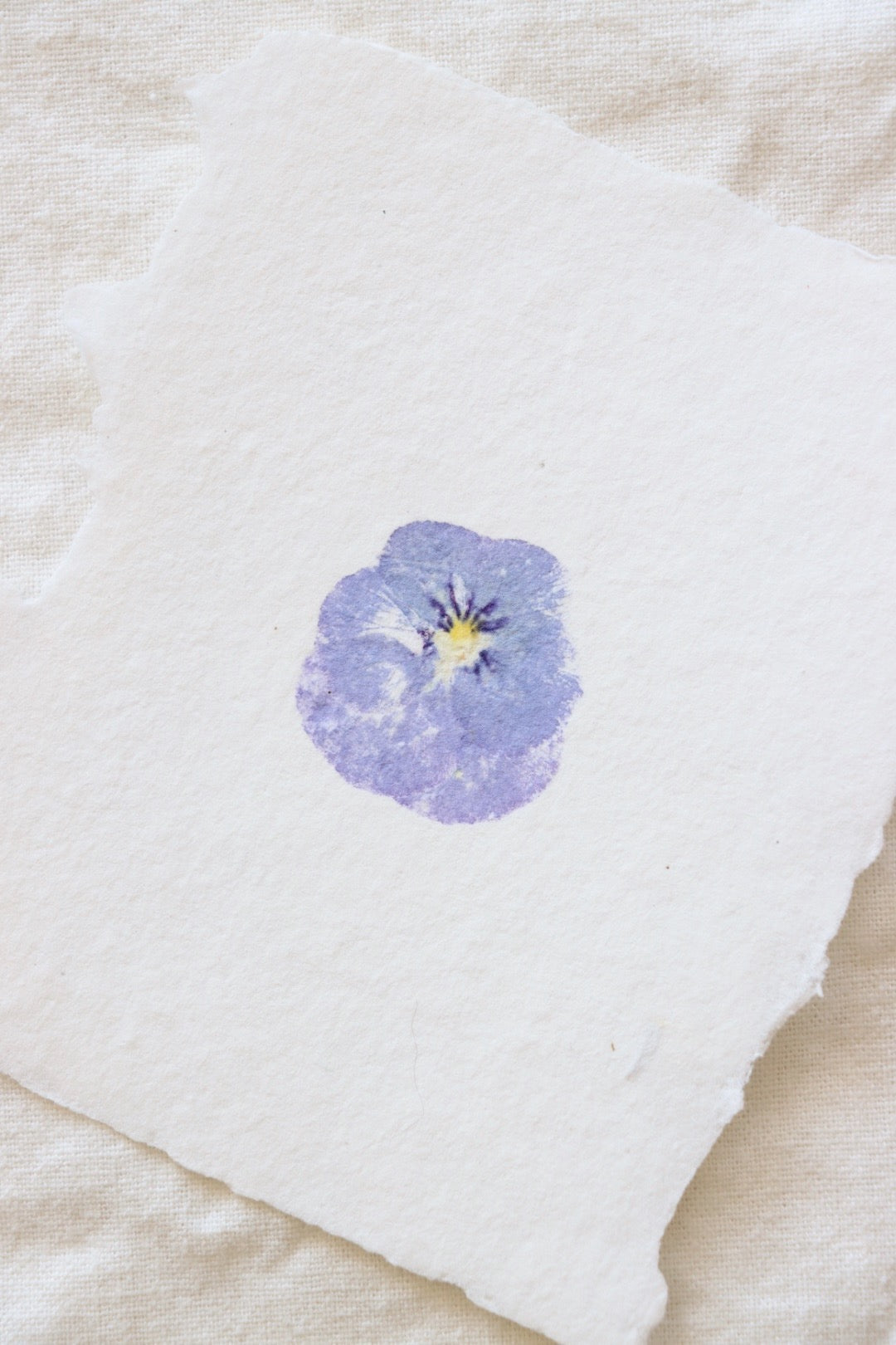 Pansy Imprint Card