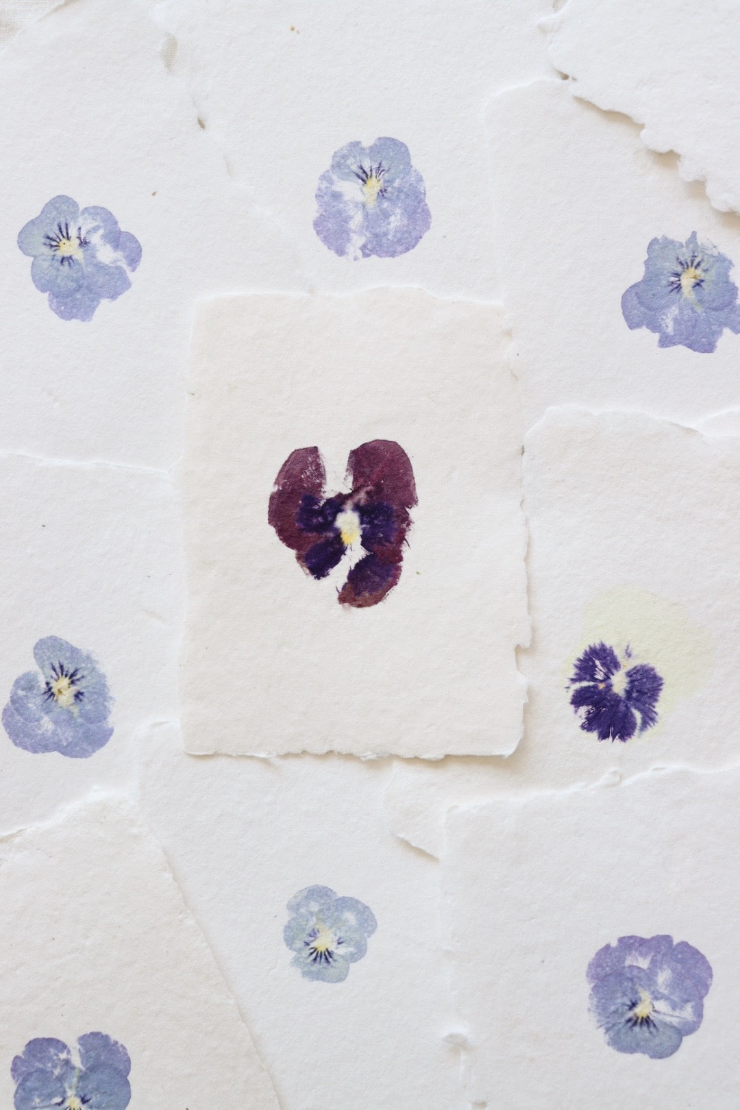 Pansy Imprint Card
