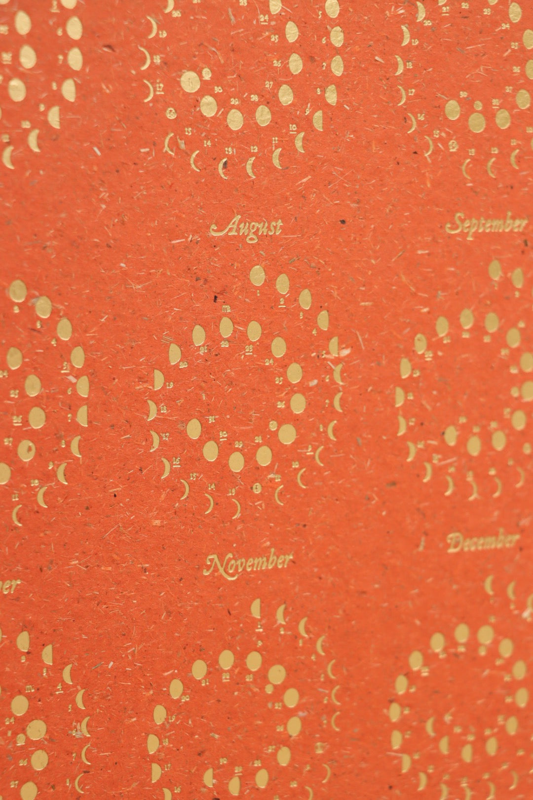 2026 Plantable Moon Calendar