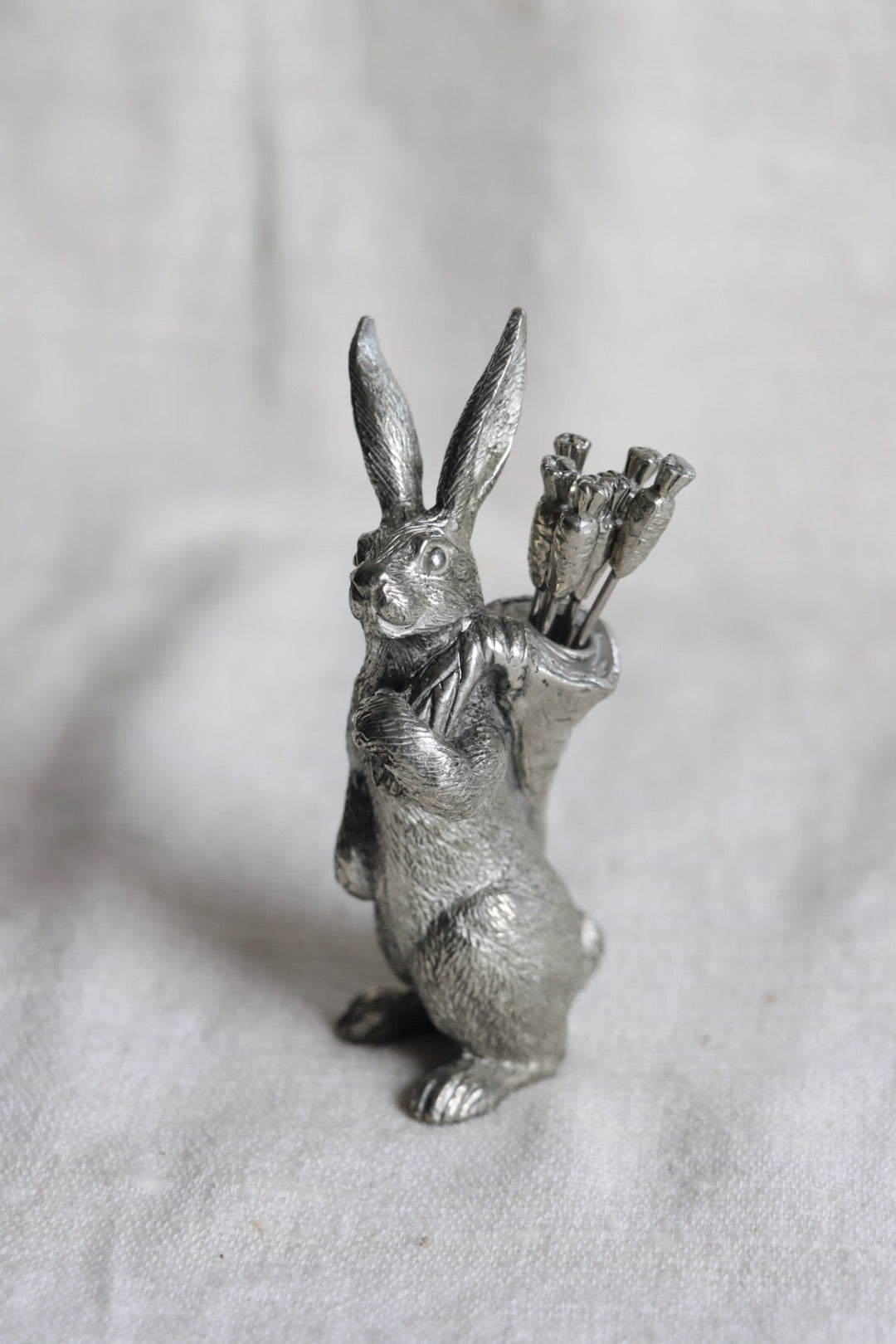 Rabbit with Carrot Picks