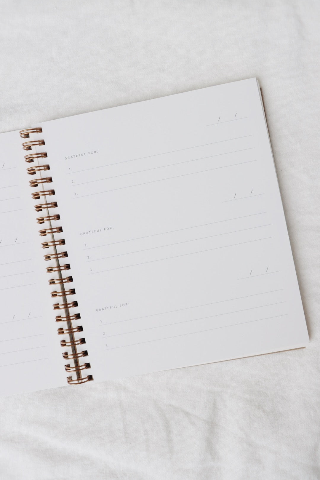 Mini Gratitude Journal