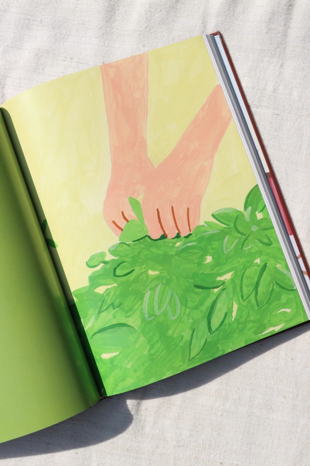 Every Leaf, Every Stem