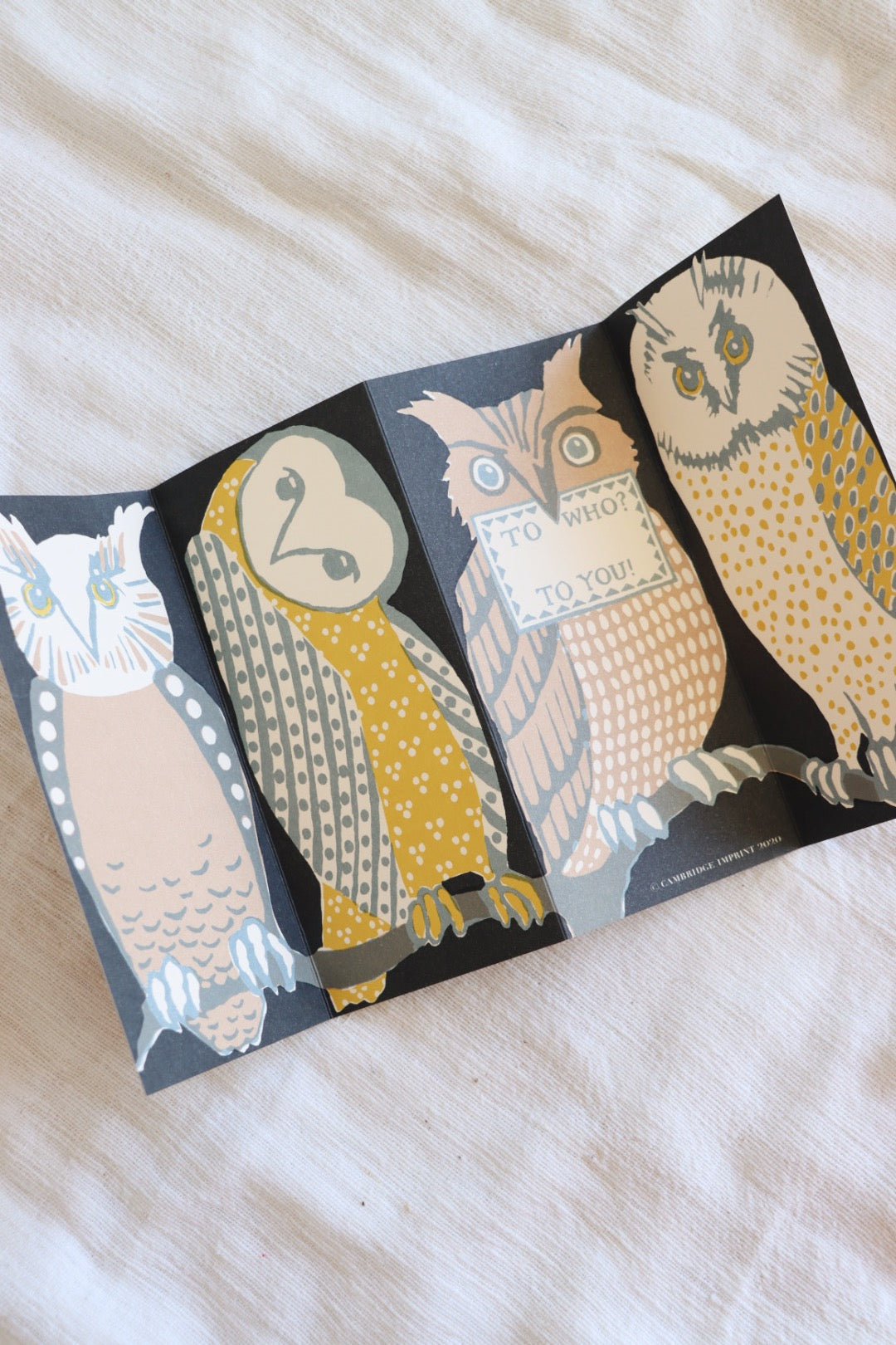 Wise Old Birds Card