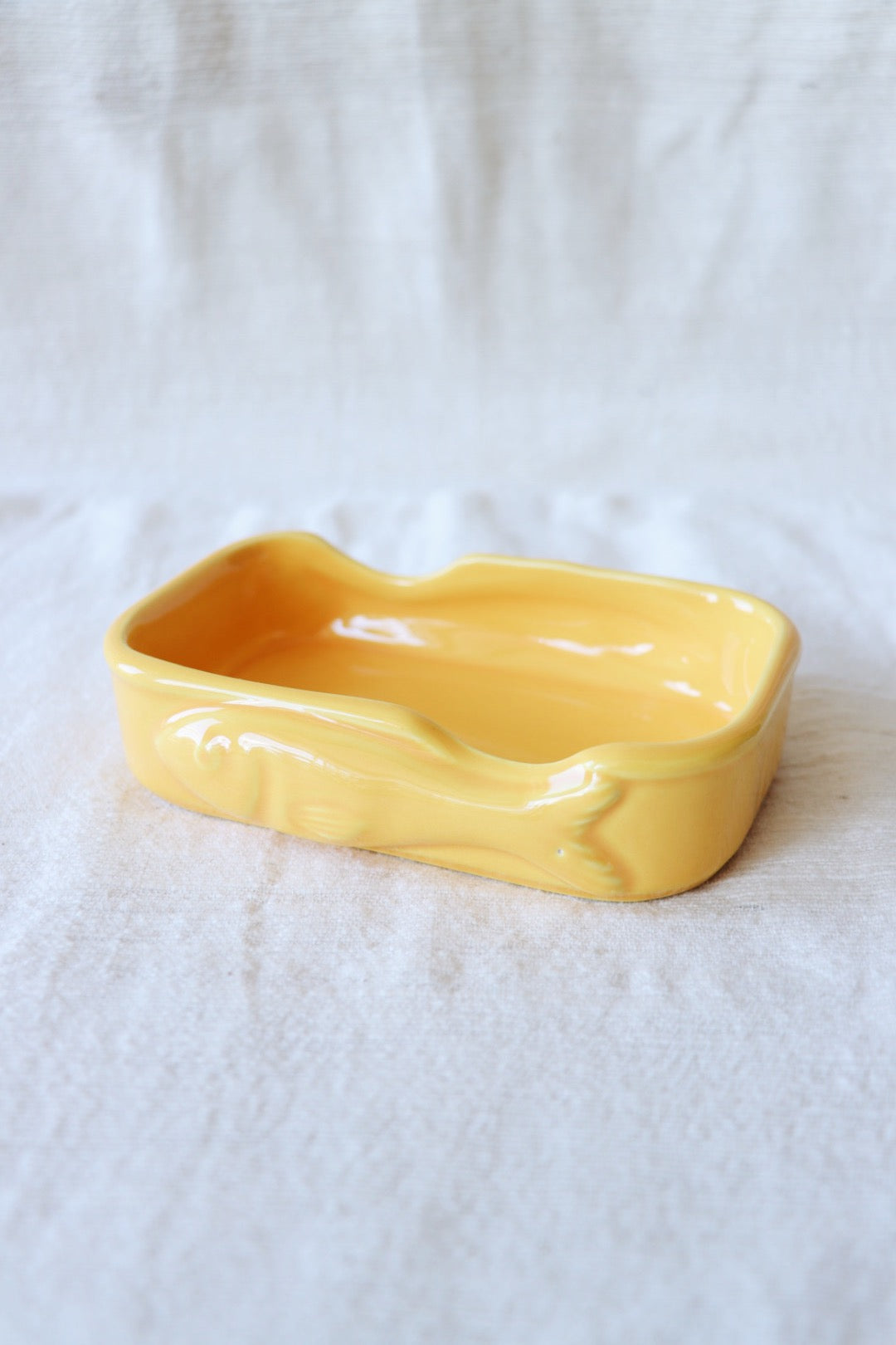 Conserva Dish