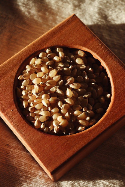 Heirloom Popping Corn