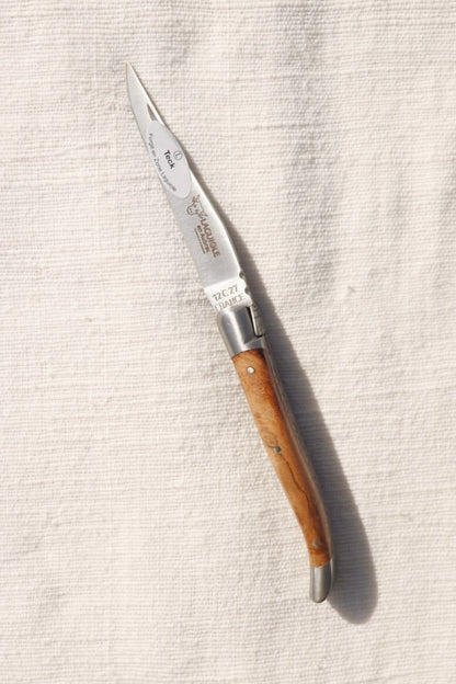 Folding Knife, 9cm Blade