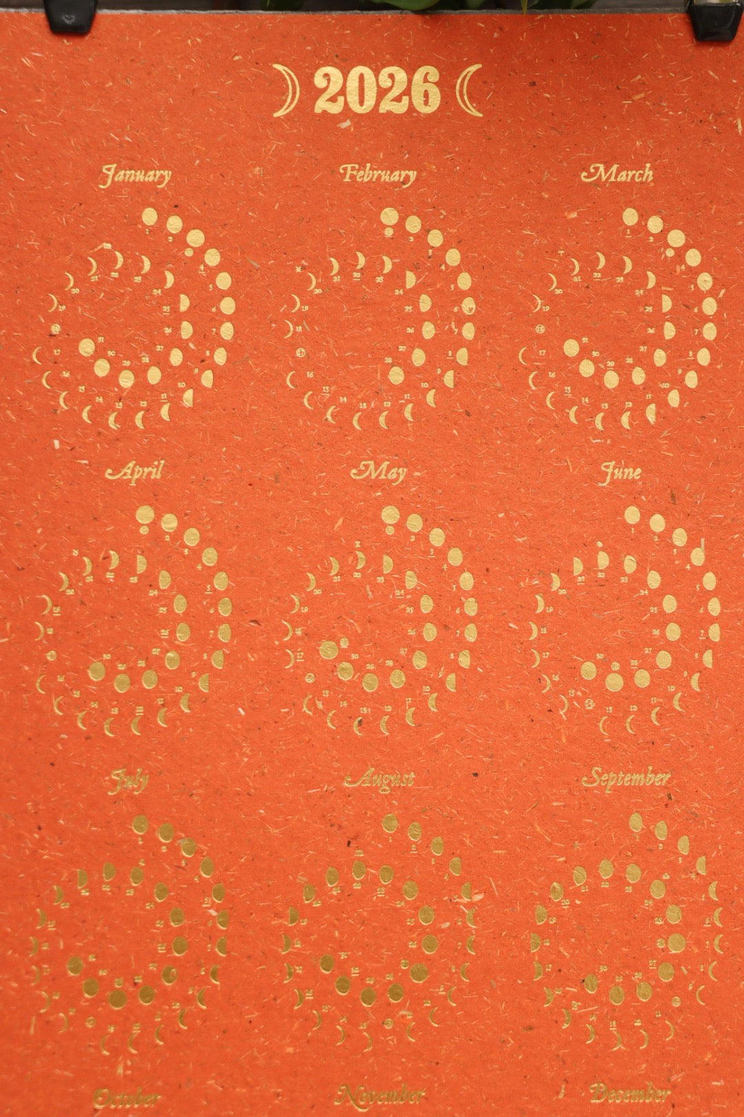 2026 Plantable Moon Calendar