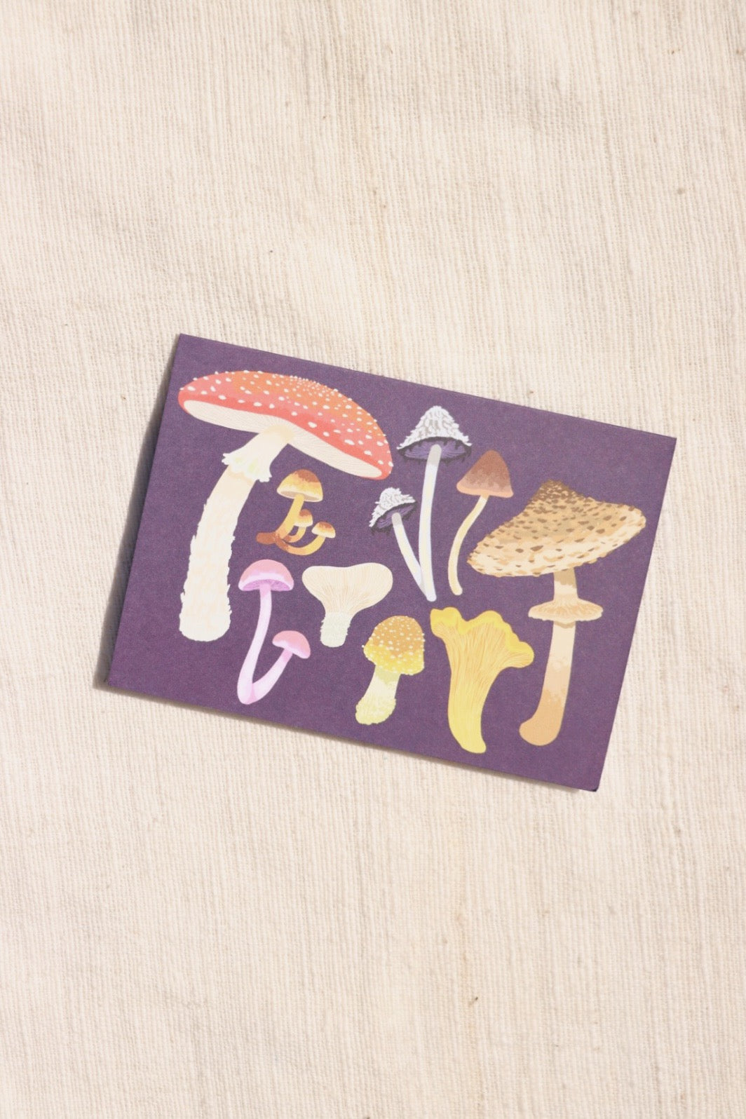 Mushrooms Boxed Note Cards Set