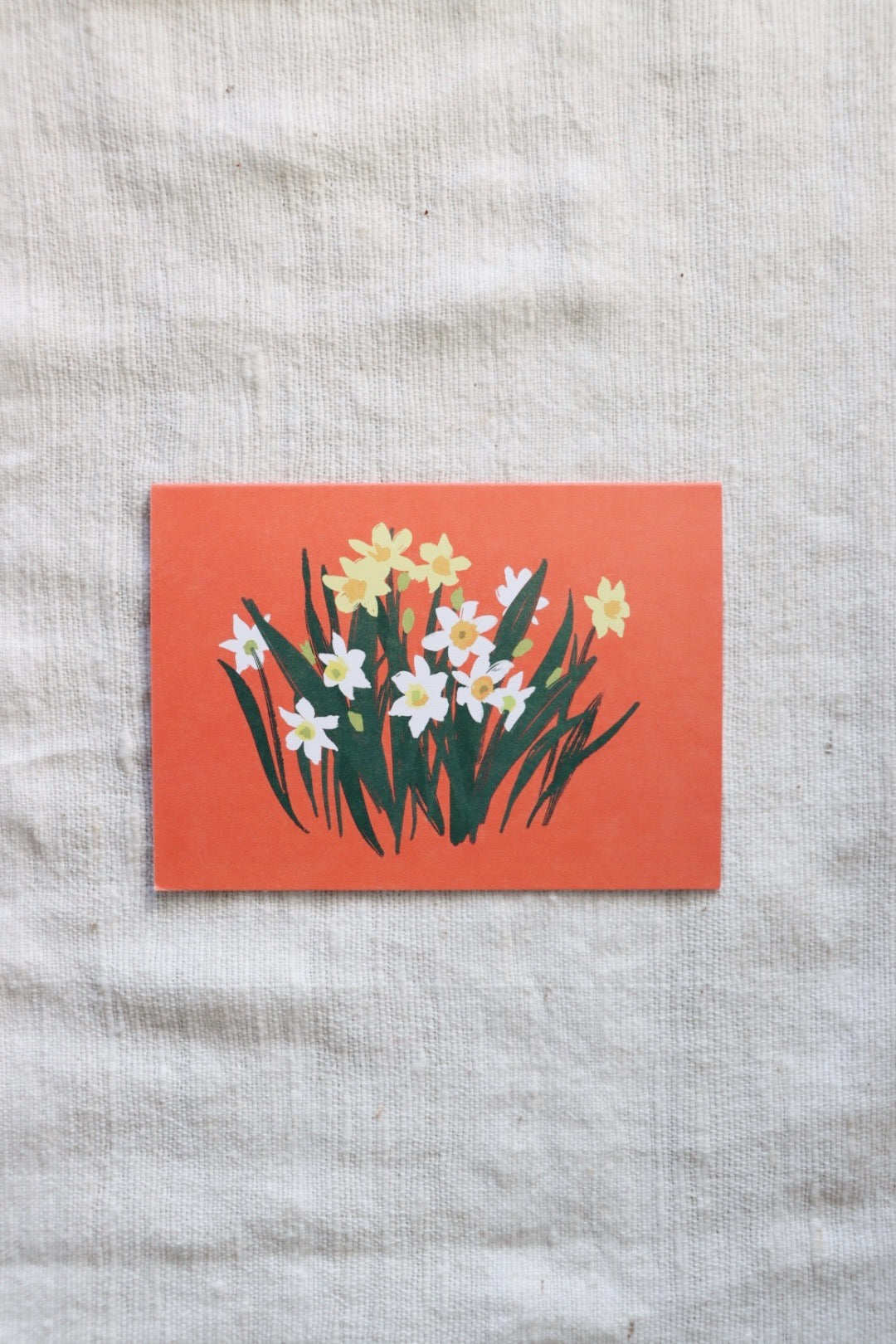 Paperwhites Boxed Note Cards Set