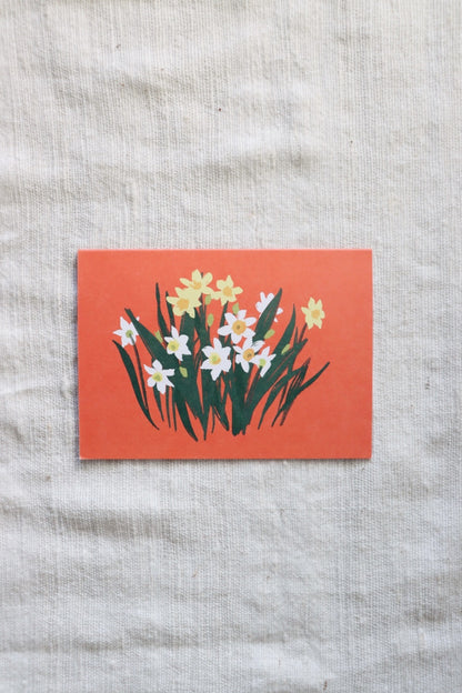 Paperwhites Boxed Note Cards Set