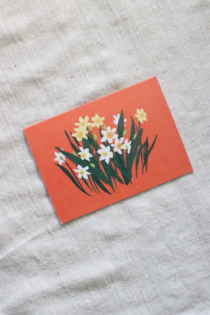 Paperwhites Boxed Note Cards Set